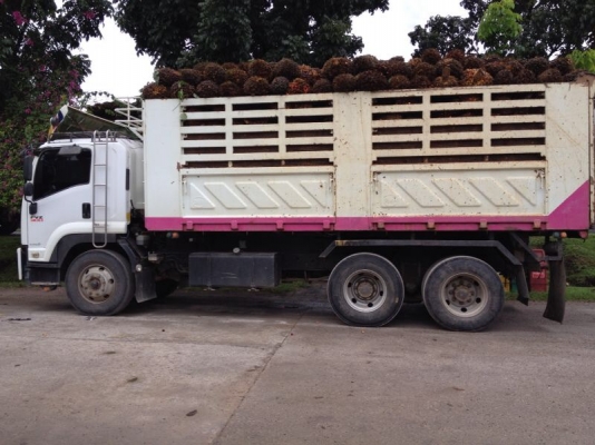 รถอีซูซุ 10 ล้อดั้ม FVZ 300 แรงม้า  ปี 52  สนใจติดต่อ 081 - 6079515