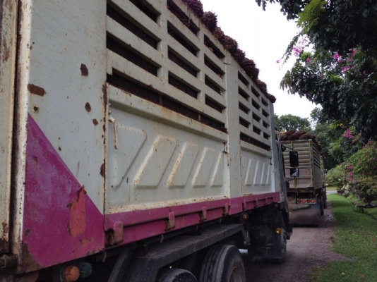 รถอีซูซุ 10 ล้อดั้ม FVZ 300 แรงม้า  ปี 52  สนใจติดต่อ 081 - 6079515