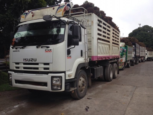 รถอีซูซุ 10 ล้อดั้ม FVZ 300 แรงม้า  ปี 52  สนใจติดต่อ 081 - 6079515