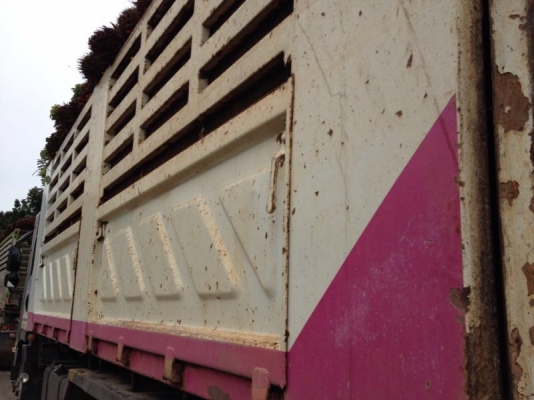 รถอีซูซุ 10 ล้อดั้ม FVZ 300 แรงม้า  ปี 52  สนใจติดต่อ 081 - 6079515