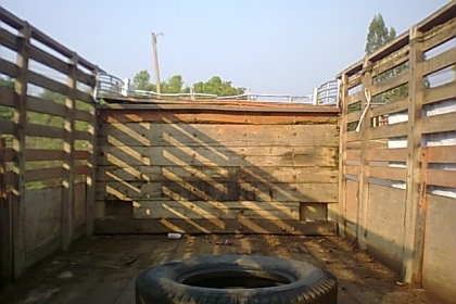 ขายถูก 6 ล้อหน้ายาว เครื่อง 6BB1 145 แรงม้า เฟืองท้ายใหญ่จัมโบ้ สโลว์อินเตอร์ 4 สปีด คัสซีสวย  ยางเต็ม ทะเบียนพร้อมโอน ราคาต่อรองได้ครับ