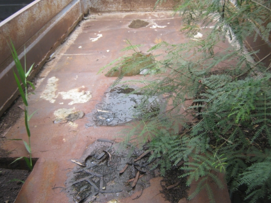 ขายกะบะ6ล้อดั๊มพ์