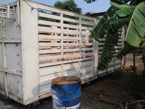 ขายด่วน ! กระบะเหล็กสวยๆครับ (ทีมงานรถคุณภาพ)