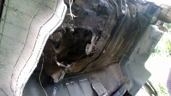 6ล้อรั้วเหล็ก ISUZU NPR 115แรง จอดไว้นานไม่ได้ใช้.รถสภาพยังสวย..ยังใช้งานได้อยู่.... 6ล้อรั้วเหล็ก ISUZU NPR 115แรง จอดไว้นานไม่ได้ใช้.รถสภาพยังสวย..ยังใช้งานได้อยู่....