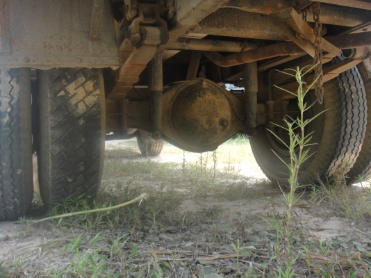 ขายหกล้อล่องมิตซู CANTER 115 รถห้างแท้ร้อยเปอร์เซ็น มือเดียวป้ายแดง