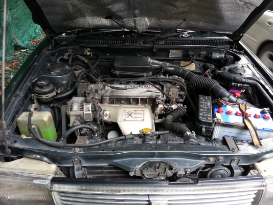 ขาย CORONA ติดLPGพร้อมใช้ ขาย CORONA ติดLPGพร้อมใช้