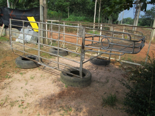 ขายคอกเหล็กกะบะ  พร้อมใช้งาน  หัวเดียวนะครับ