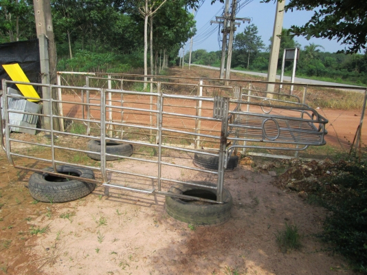 ขายคอกเหล็กกะบะ พร้อมใช้งาน หัวเดียวนะครับ ขายคอกเหล็กกะบะ พร้อมใช้งาน หัวเดียวนะครับ