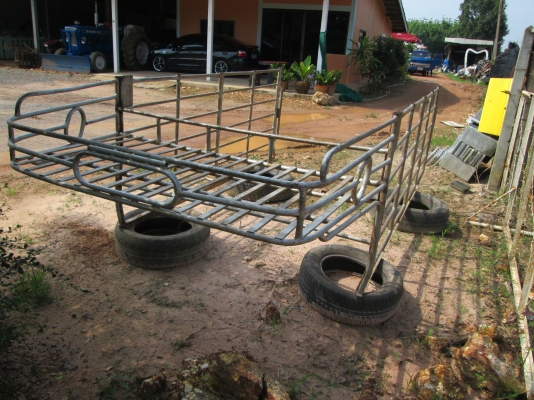 ขายคอกเหล็กกะบะ พร้อมใช้งาน หัวเดียวนะครับ ขายคอกเหล็กกะบะ พร้อมใช้งาน หัวเดียวนะครับ