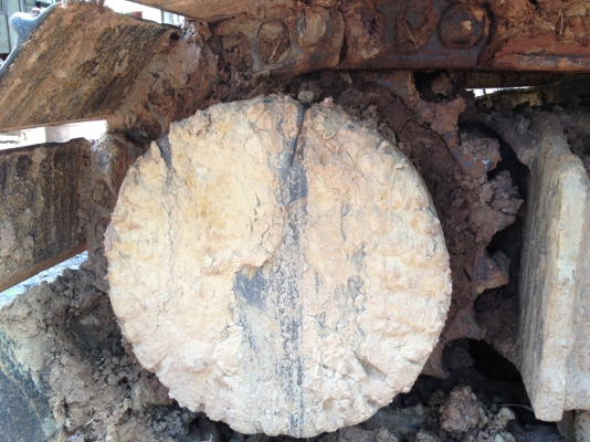 ขาย CAT 320L  V1