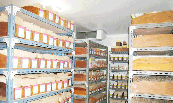 พื้นที่โกดังให้เช่าติดกับทางด่วน ท่าเรือคลองเตย พื้นที่โกดังใหม่ เพียงตารางเมตรละ 99 บาท