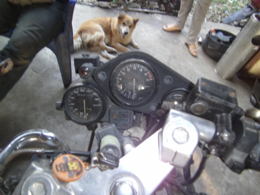 ขาย cb250rr ทะเบียนพร้อมโอน ทะเบียนปี 57