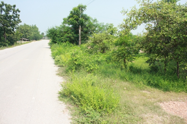 ขายที่ดินพร้อมบ้านเข้าอยู่ได้เลยครับ ขายที่ดินพร้อมบ้านเข้าอยู่ได้เลยครับ