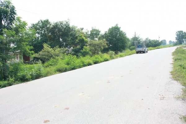 ขายที่ดินพร้อมบ้านเข้าอยู่ได้เลยครับ ขายที่ดินพร้อมบ้านเข้าอยู่ได้เลยครับ