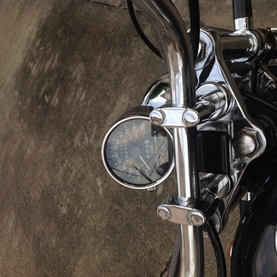 ขาย intruder 800 ตัว100ปี ขาย intruder 800 ตัว100ปี