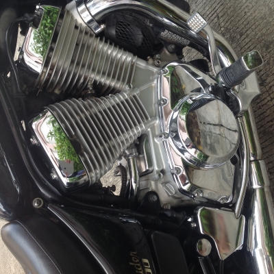 ขาย intruder 800 ตัว100ปี ขาย intruder 800 ตัว100ปี