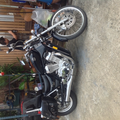 ขาย intruder 800 ตัว100ปี ขาย intruder 800 ตัว100ปี