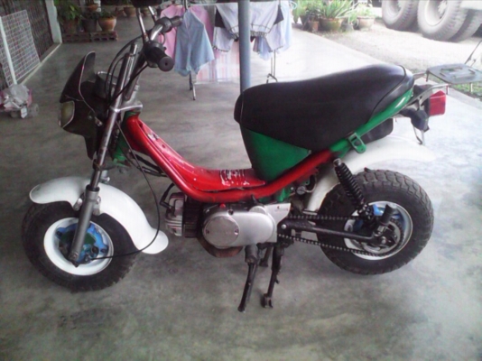 ขายชิบปี้เกียร์ออโต้(ด่วนๆ)