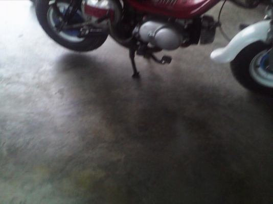 ขายชิบปี้เกียร์ออโต้(ด่วนๆ)