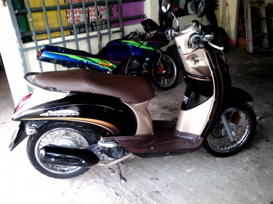 ขาย Scoopy-i  ราคา18500พร้อมใช้พร้อมโอน