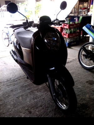 ขาย Scoopy-i  ราคา18500พร้อมใช้พร้อมโอน