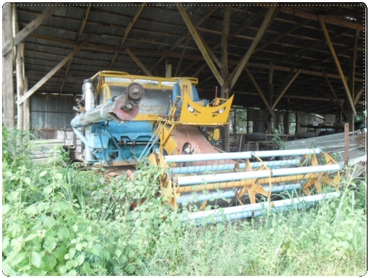 รถเกี่ยวข้าว สภาพน่าใช้ ราคาถูก