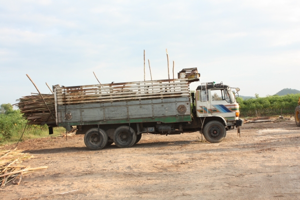 ขายรถสิบล้อ HINO F18 HO7C, 185 แรงม้า