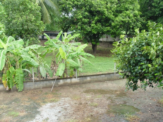 ขายบ้านหลังงามพร้อมที่ดิน