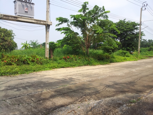 ขายที่ดินหมู่บ้านสวนเอก อำเภอบางเลน