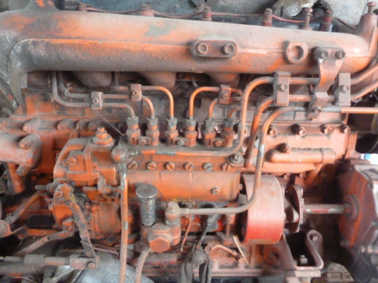 ขายไทเจริญ ขายไทเจริญ