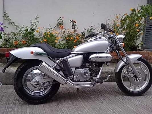 ขายครับ  MAGNA    (www.bascooterclub.com)