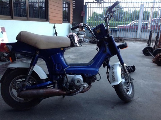 ขายชาลี เดิมๆ