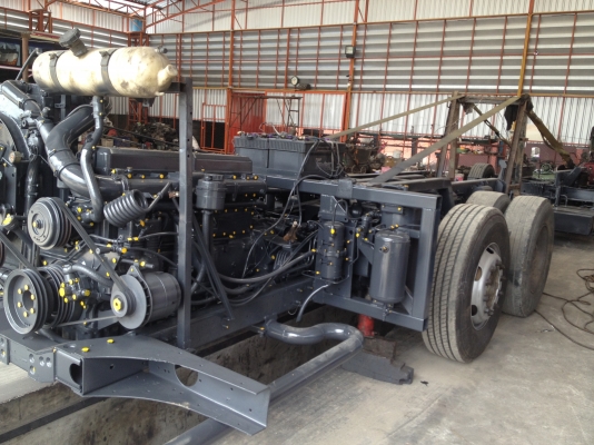 ขายคัซซีสแกเนีย 114