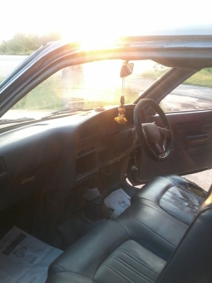 ด่วน ไมตี้หัวเดียวปี38 63000 มาก่อนได้ก่อนครับ