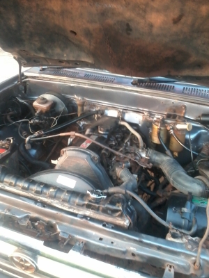 ด่วน ไมตี้หัวเดียวปี38 63000 มาก่อนได้ก่อนครับ