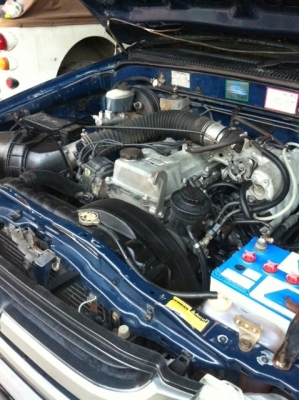 ขาย TIGER D4D ตอนเดียว ประกันชั้น1