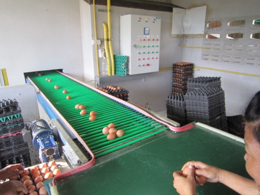 รับ ต่อ ตู้ คอลโทรลควบคุม เช่น เกษตรยุคใหม่ ระบบเก็บไข่ในฟาร์มไข่ ระบบในฟาร์มหมู ระบบรดน้ำต้นไม้ อัตโนมัติ รับ ต่อ ตู้ คอลโทรลควบคุม เช่น เกษตรยุคใหม่ ระบบเก็บไข่ในฟาร์มไข่ ระบบในฟาร์มหมู ระบบรดน้ำต้นไม้ อัตโนมัติ