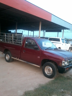 nissan big-mหัวเดียว ฝาแดง87000