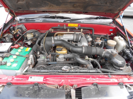 ขายISUZU DRAGON 083-1172355 ขายISUZU DRAGON 083-1172355