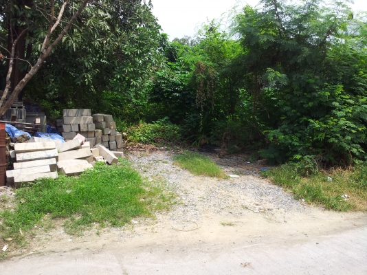 ขายที่ดินซอยวัดด่านสำโรง