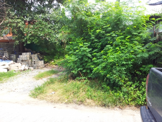 ขายที่ดินซอยวัดด่านสำโรง