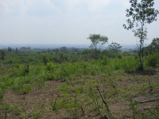 ขายที่ดินโฉนด8ไร่กว่า8ล้านอยู่ตัวเมืองปากช่องบนเนินวิวสวยเหมาะทำบ้านพักตากอากาศหรือเก็งกำไร