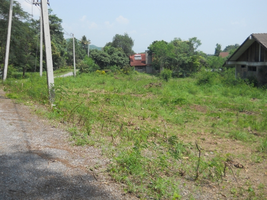 ขายที่ดินโฉนด8ไร่กว่า8ล้านอยู่ตัวเมืองปากช่องบนเนินวิวสวยเหมาะทำบ้านพักตากอากาศหรือเก็งกำไร