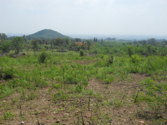 ขายที่ดินโฉนด8ไร่กว่า8ล้านอยู่ตัวเมืองปากช่องบนเนินวิวสวยเหมาะทำบ้านพักตากอากาศหรือเก็งกำไร