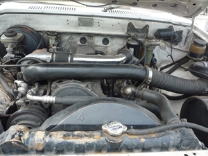 ฮีโร่ LN 65 แท้