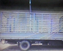 ขายกระบะคาโก้พร้อมคอกเหล็กสวยๆถอดลงจากNQRใส่ตู้สภาพใหม่ห้างสีเดิมจากห้างยาว5.50เมตร