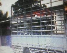 ขายกระบะคาโก้พร้อมคอกเหล็กสวยๆถอดลงจากNQRใส่ตู้สภาพใหม่ห้างสีเดิมจากห้างยาว5.50เมตร