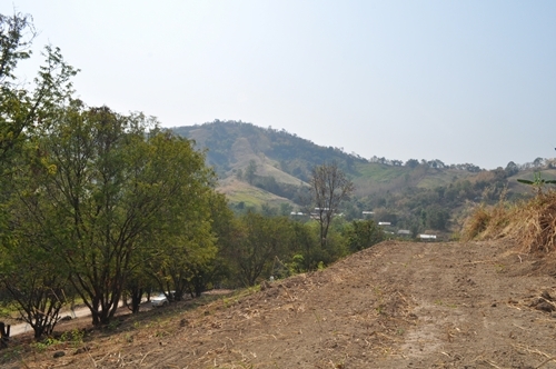 ขายที่ดินหล่มสัก-เขาค้อ 2ไร่