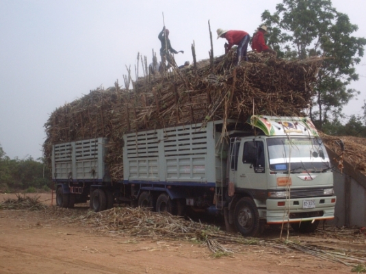 ต้องการรถบรรทุกขนส่งอ้อย10คันเท่านั้น