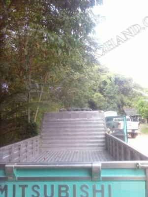 รถบรรทุก 6 ล้อ MITSUBISHI CANTER กระบะสเตนเลสทั้งลูก แถมรั่วคอกเหล็กกระบะ